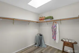 Main walk in closet with skylight