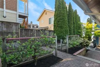 Side entry garden area with fruit trees