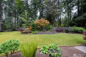Such an amazing yard!