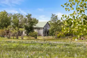 View of the shop over the iris field.