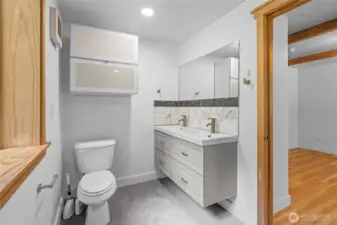Unfinished room bathroom - toilet/sink are functioning