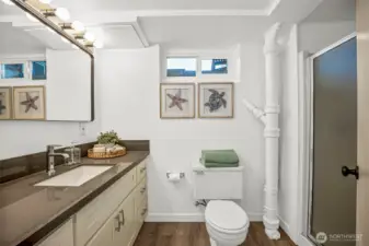 Lower-level bathroom including shower. This home does have 4 bathrooms all with showers. Great for guests!