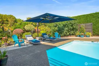 This easy maintenance pool has a newer, gas heat pump. Yes, a heated pool in Washington! Perfect!