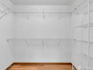 Primary bedroom has a great walk-in closet - fill it up