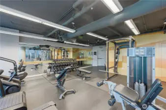 More equipment in the awesome gym!