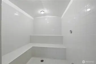 Steam room off the spa.