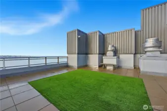 Convenient pet area on the rooftop deck.