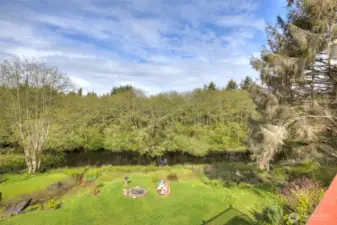 Ducks, geese and wildlife view from upper deck.
