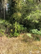 View of lot from street