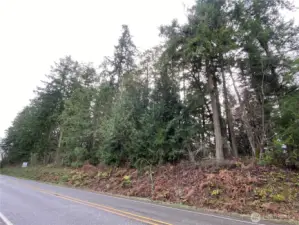 View from Oak Bay Road