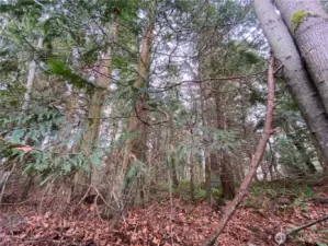 Level building sites