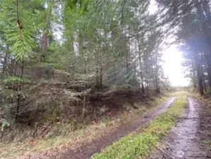 Access road, Magnolia Ave, West of property