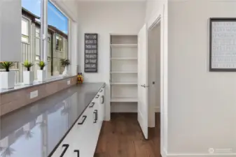 Kitchen and pantry