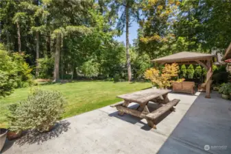 Lovely back yard with great privacy
