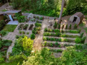 Aerial view of the garden