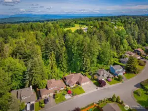 Located moments from top-rated schools, local shops, & nestled perfectly between Snohomish & Mill Creek, this home perfectly blends convenience with tranquil living.