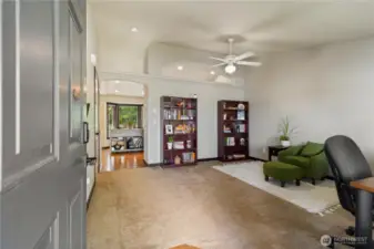 Living room current used as work from home office