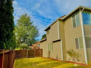 Side Yard.