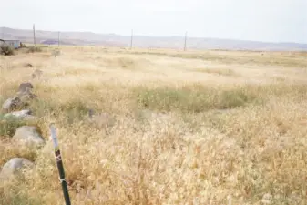 The property line on the left side of the property