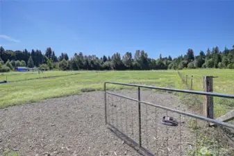 24.68 acres of lush cross fenced pastures and no climb fencing