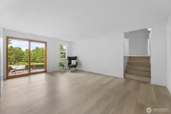 Family Room Downstairs