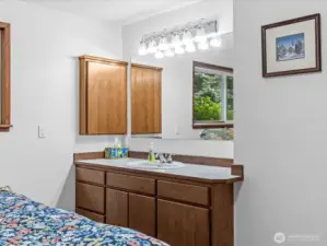 Downstairs bedroom with sink