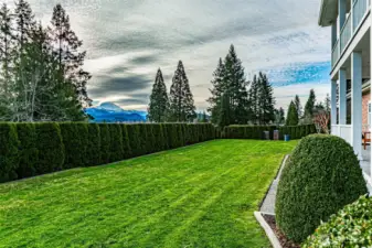 Good size Front yard