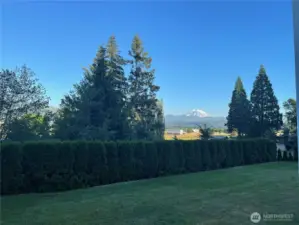 Picture from current owner of mountain view