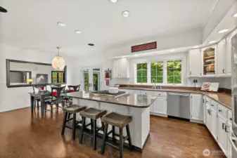 Updated Gourmet Kitchen