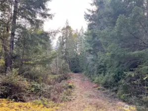 West road approach to the site. It's cleared and easy to access the site.