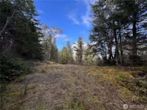 Another photo of the homesite..Ready for you !