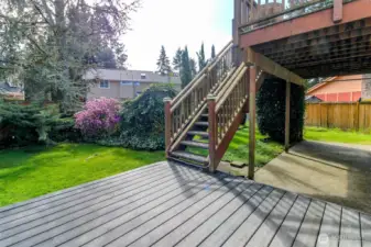 Lower Trex deck