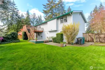 Fully fenced backyard