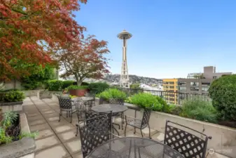 Take in stunning, unobstructed views of the Space Needle from the lush rooftop garden, perfect for morning coffee or evening relaxation in the heart of the city.