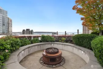 Gather around the handsome firepit with beautiful views of the active Puget Sound, creating the ultimate setting for a peaceful evening under the stars.