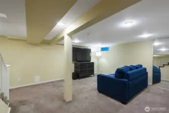 Basement Rec Room