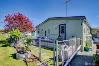 This area is at the back of the home. Fenced and landscaped. Water barrels used for watering.