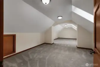 Bonus Room Up. Skylights throughout the house.