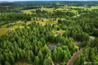 Nice wooded 5 acre lot - plenty of room for a shop to be built hidden in the trees.