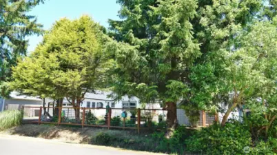 Look at how much privacy there is from the street...Fenced Yard w/ lots of privacy from the street.
