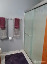 Master Bathroom w/ newer shower door.
