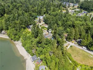 Stable bluff with mature growth- it's not going anywhere.