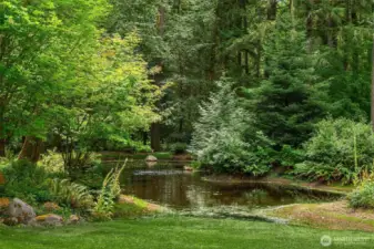 Another view of one of the ponds on the property