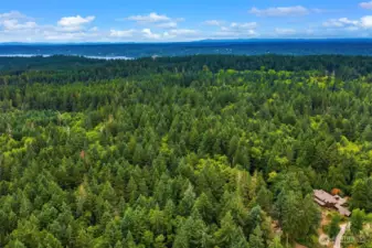 The protected forest of Still Waters estate surrounds the lodge like home providing ultimate privacy with nature as the nearest neighbor!