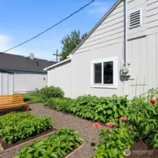 Rendering of back yard