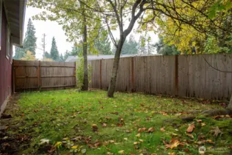 Side and Back Yard