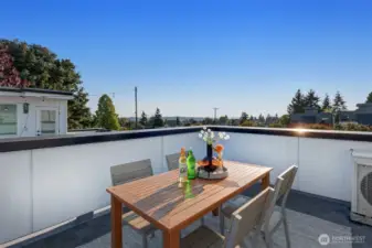 Large rooftop deck with sweeping views to the southwest and southeast.