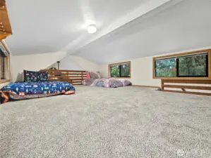 can fit 3 twin sized beds+