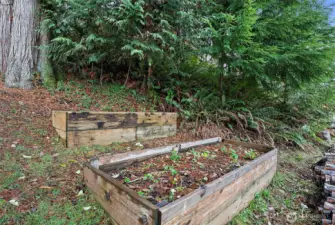 Built in garden beds