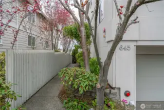 Walkway to main entrance of building